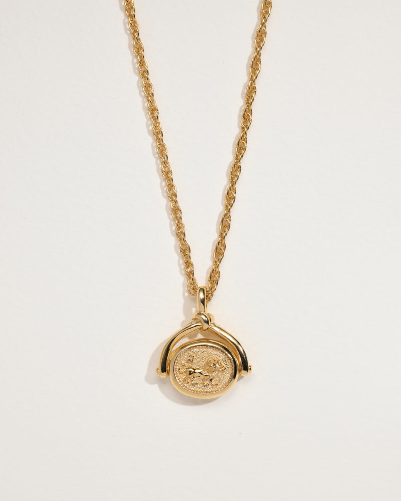 Leo Sign Spinner Pendant Necklace Pamela Love
