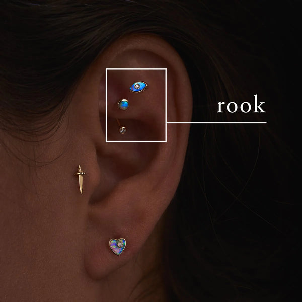 Rook