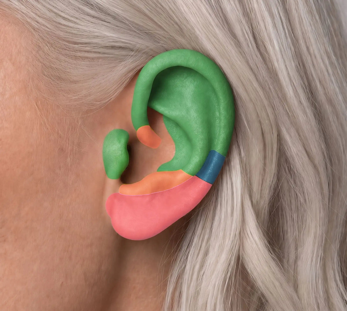 Piercing Placements & Healing Times