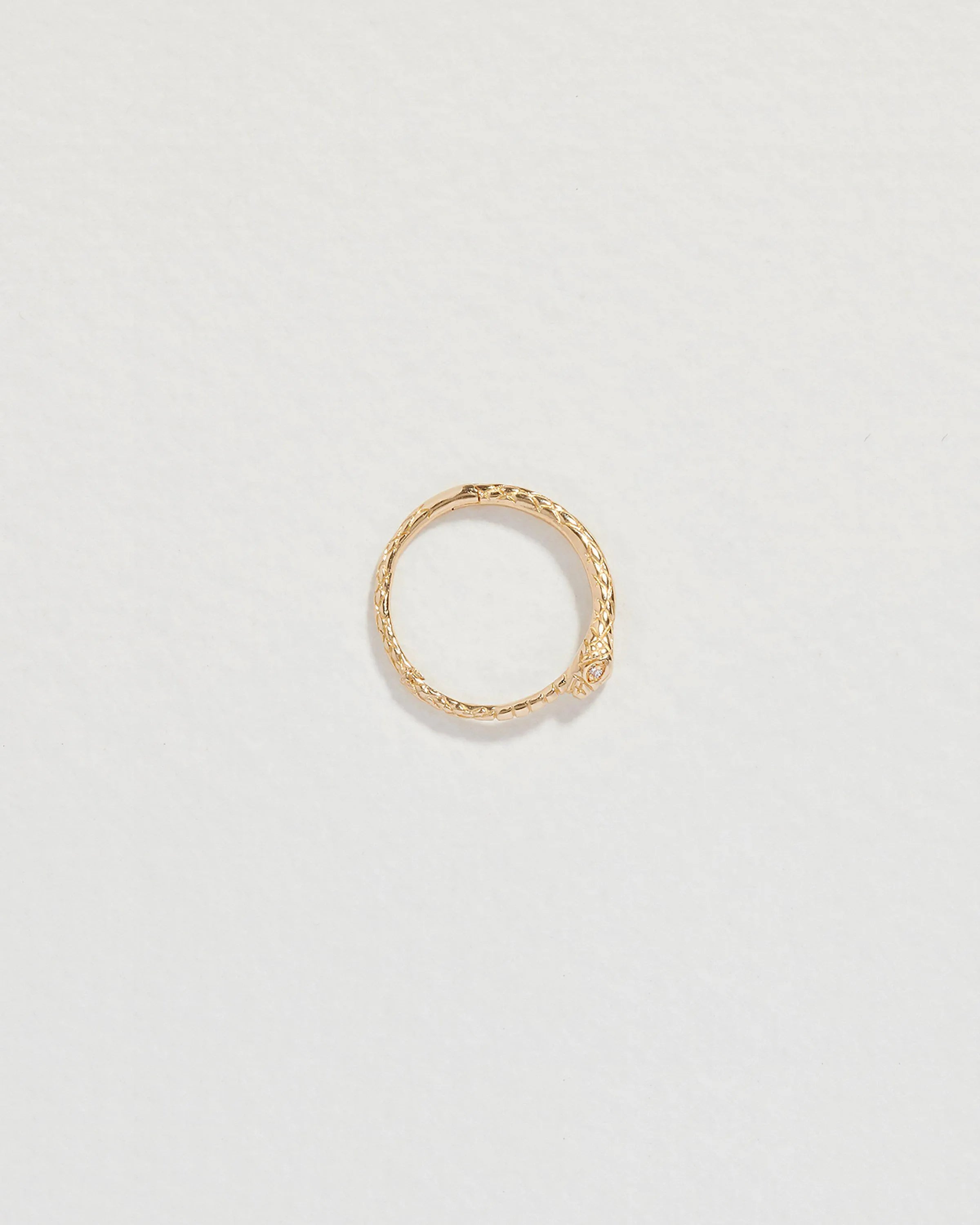 8mm Serpent Clicker by Pamela Love – Piercing in #product_material# (#product_color#). 