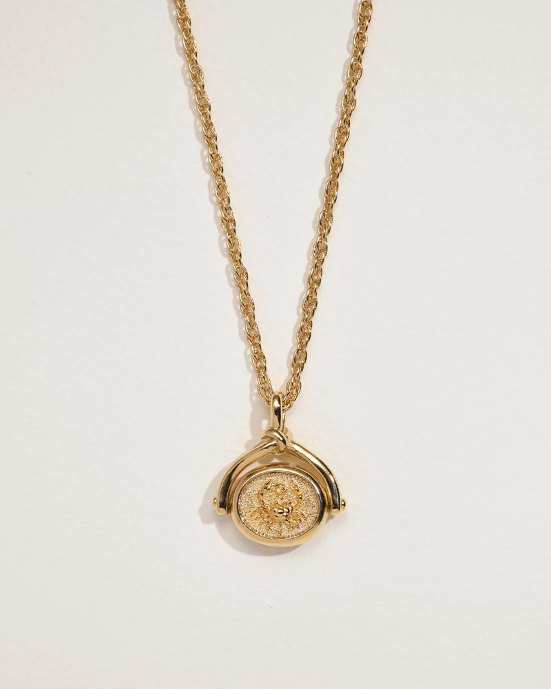 Cancer Spinner Pendant by Pamela Love – Necklaces in #product_material# (#product_color#). 