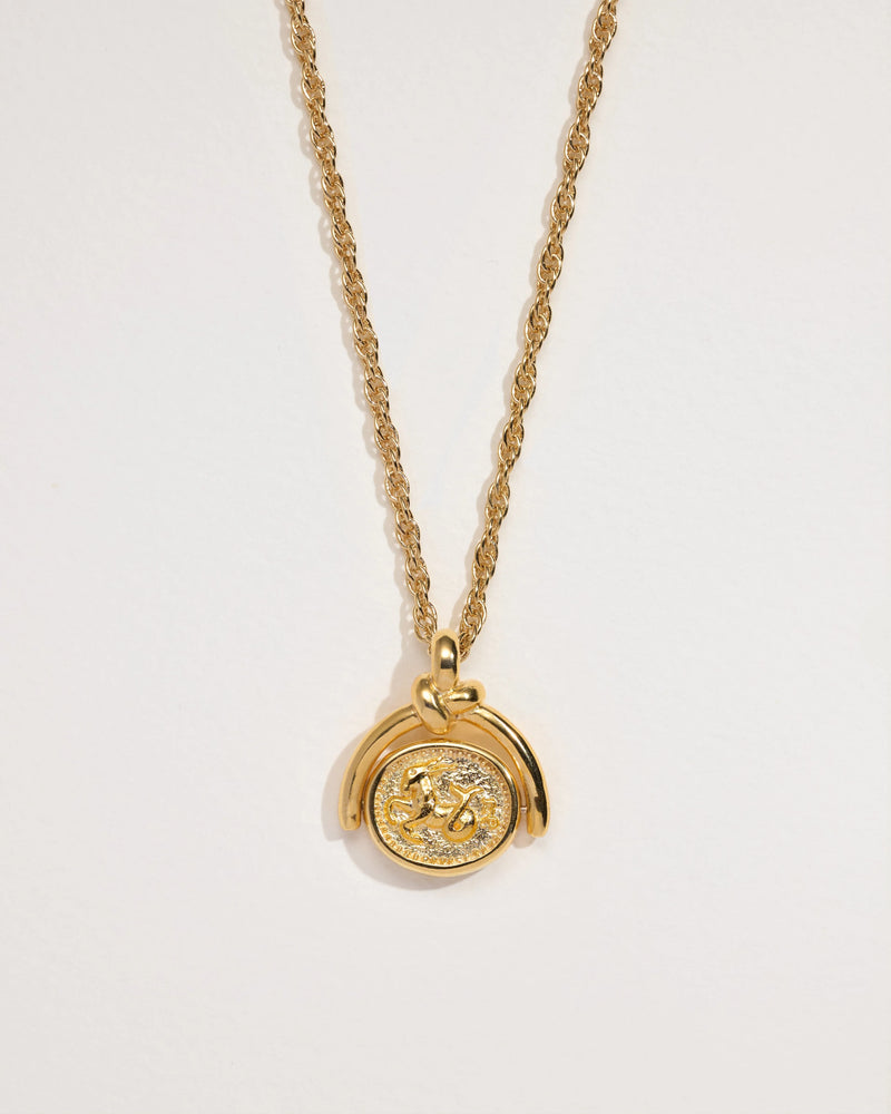 Capricorn Spinner Pendant by Pamela Love – Necklaces in #product_material# (#product_color#). 