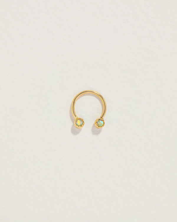 Circular Barbell