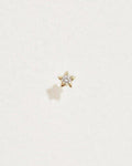 Midnight Star Stud