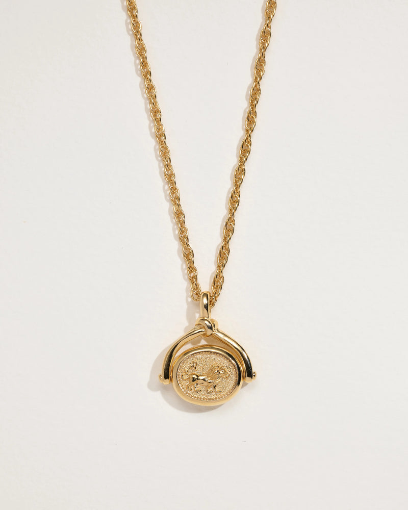 Leo Spinner Pendant by Pamela Love – Necklaces in #product_material# (#product_color#). 