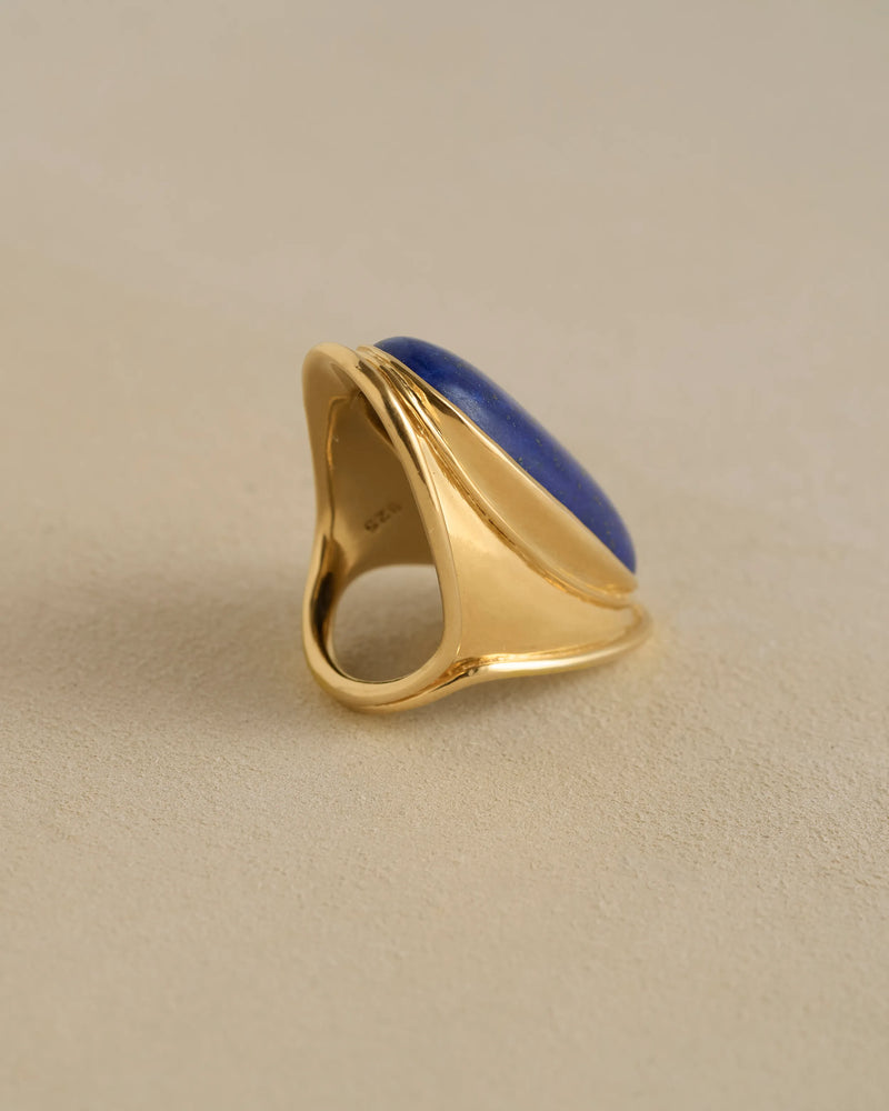 Mood Ring by Pamela Love – Ring in #product_material# (#product_color#). 