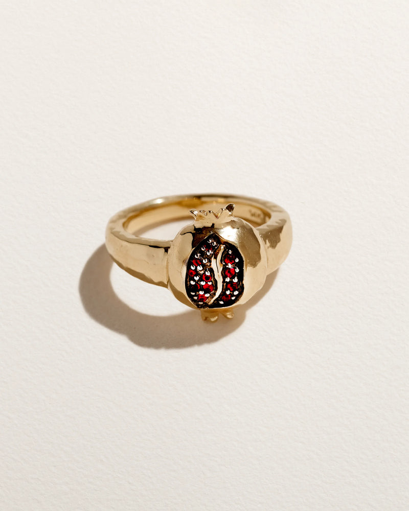 Persephone Ring by Pamela Love – Ring in #product_material# (#product_color#). 