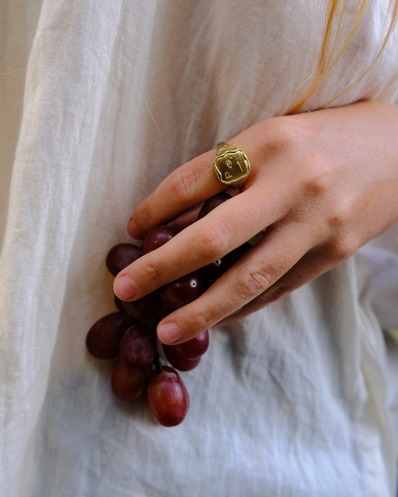Seal Signet by Pamela Love – Ring in #product_material# (#product_color#). 