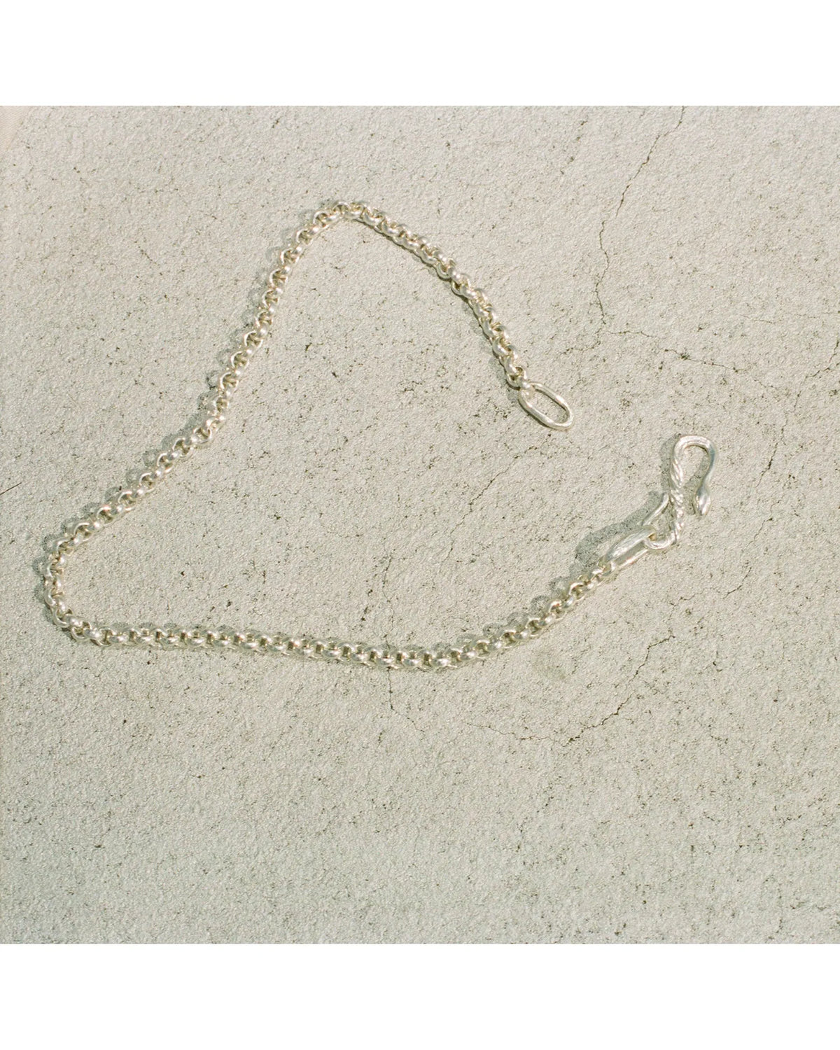 Silver Snake Chain Necklace - Pamela Love