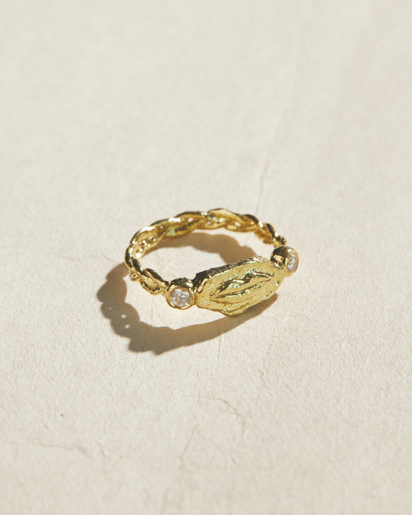 gold lips ring