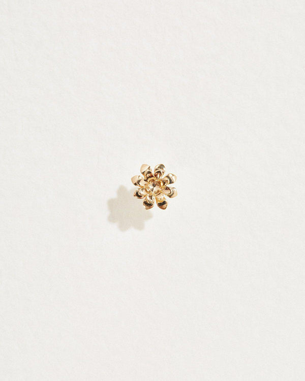gold anemone flower stud piercing