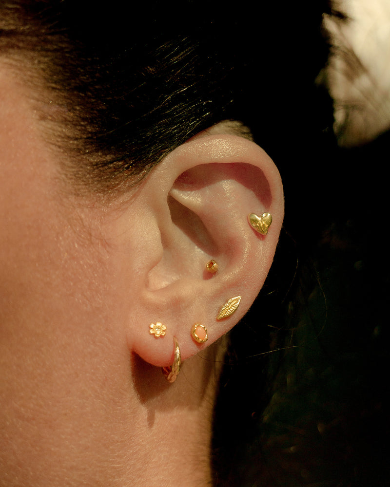 ear piercings on the model
