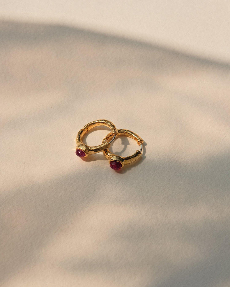 Vivianna Hoops by Pamela Love – Earrings in #product_material# (#product_color#).